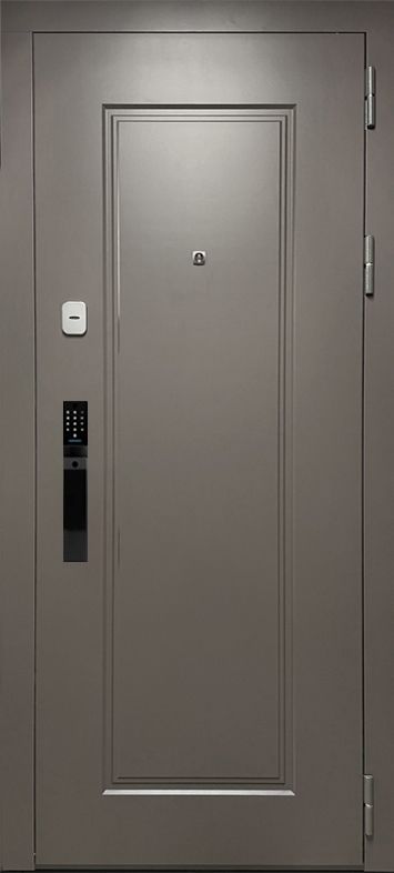 Входная дверь  